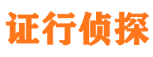 振安市私家侦探